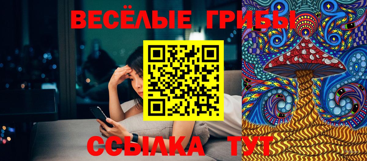 Псилоцибиновые грибы Psilocybine cubensis  Псилоцибиновые грибы Psilocybe  Горно-Алтайск  как найти наркотики  Вход с VPN 